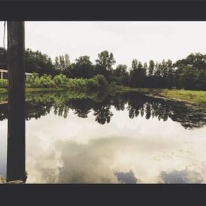 Meet your Posher, Paul